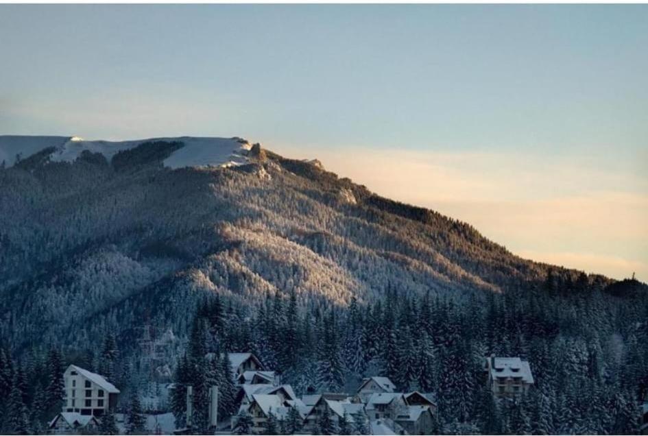 Mont Blanc Hotel Predeal Eksteriør billede