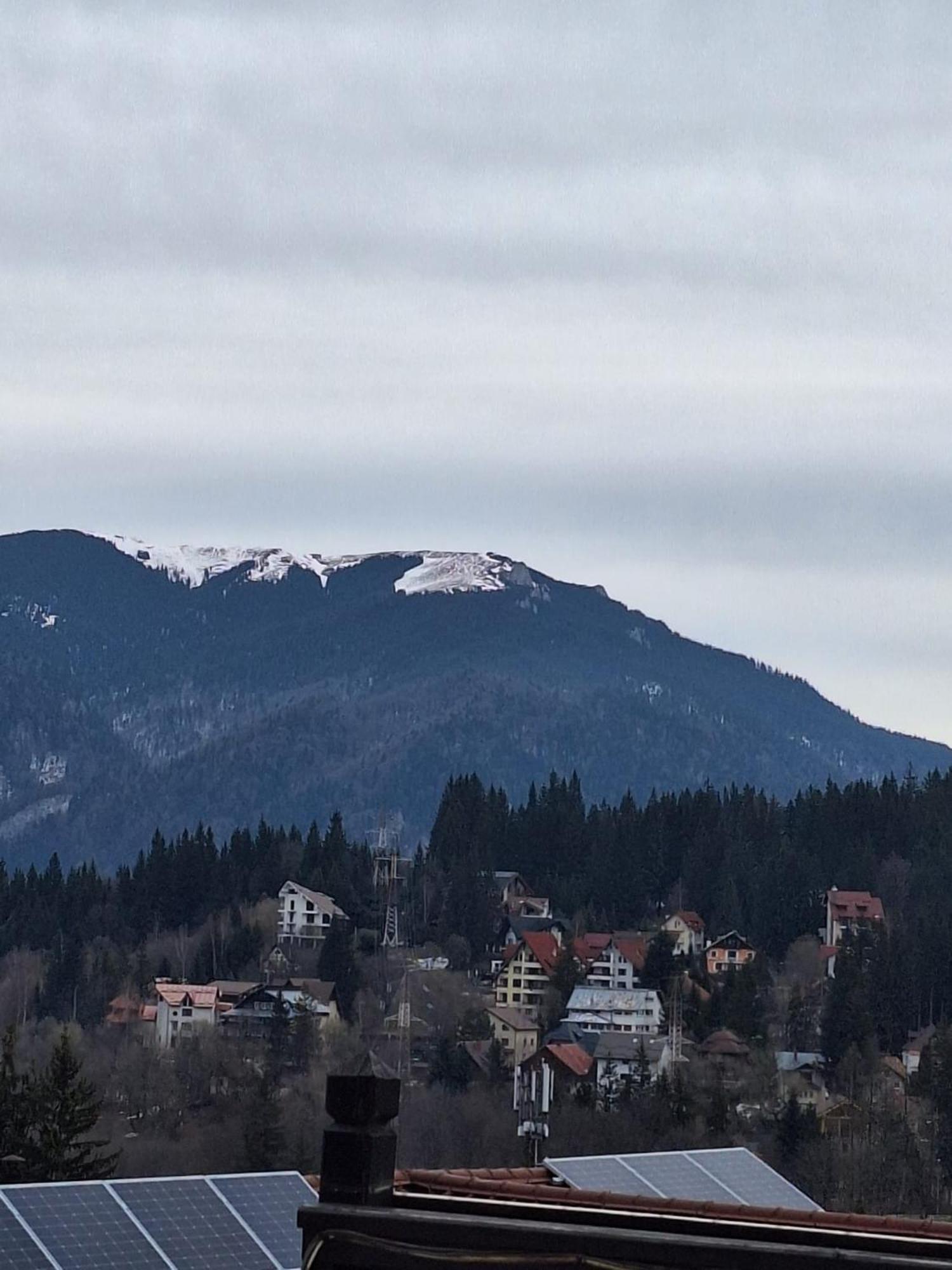 Mont Blanc Hotel Predeal Eksteriør billede